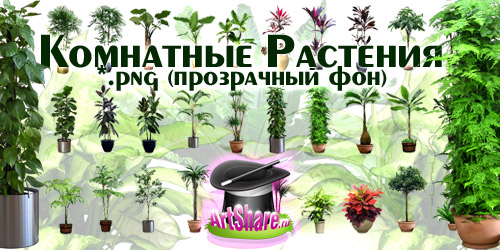 Клипарт Комнатных Растений