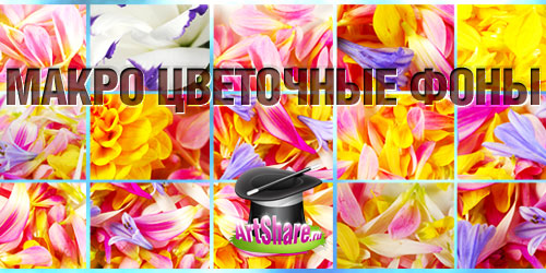 Фотки цветов